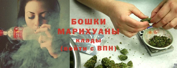 гидра Дмитровск