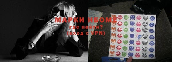 ГАЛЛЮЦИНОГЕННЫЕ ГРИБЫ Дмитриев