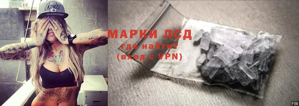 ГАЛЛЮЦИНОГЕННЫЕ ГРИБЫ Дмитриев