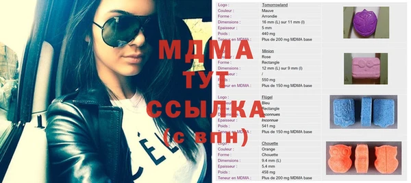 ГАЛЛЮЦИНОГЕННЫЕ ГРИБЫ Дмитриев