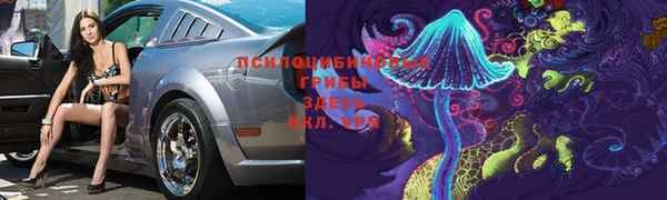 ГАЛЛЮЦИНОГЕННЫЕ ГРИБЫ Дмитриев